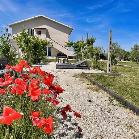 Pp13 - Potenza Picena, Luminoso Trilocale Con Piscina E Aria Condizionata Apartmán Montarice